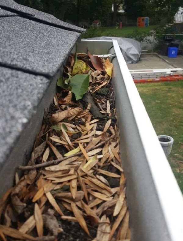 Gutter Cleaning — before