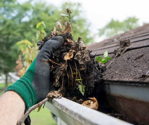 Gutter Cleaning