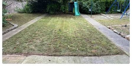 Overgrown Lawn Cleanup — after