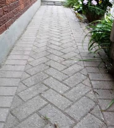 Garden / Paving Cleanup — after