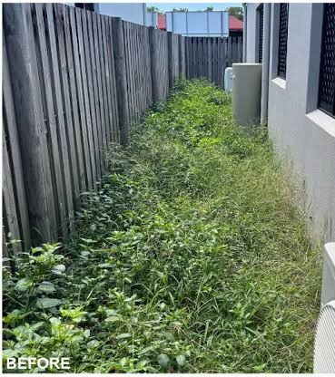 Weed Removal / Garden Cleanup — before